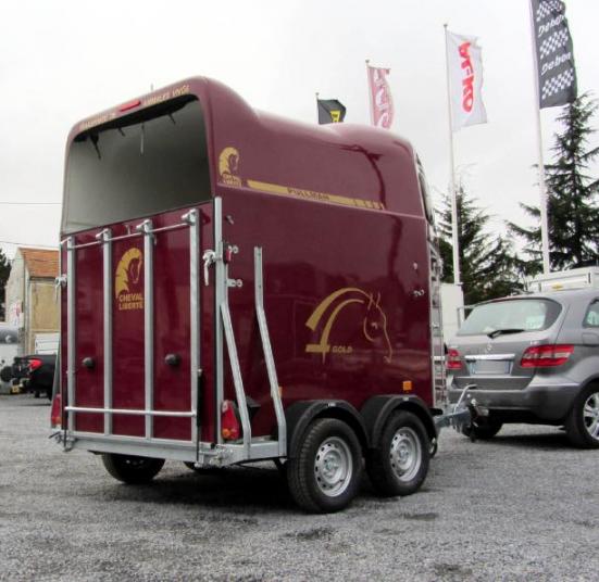 VAN 2 PLACES CHEVAL LIBERTE GOLD MAGNUM